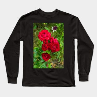 Beautiful natural roses with water drops photographed after rain Long Sleeve T-Shirt